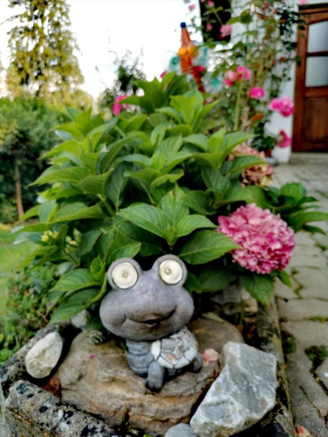 Pension Treissmann Pichling bei Stainz 외부 사진